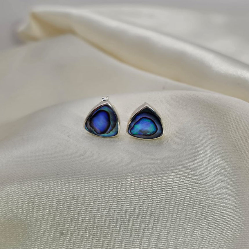Abalone Shell Stud Earrings image 0