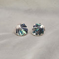 Abalone Seashell Stud Earrings