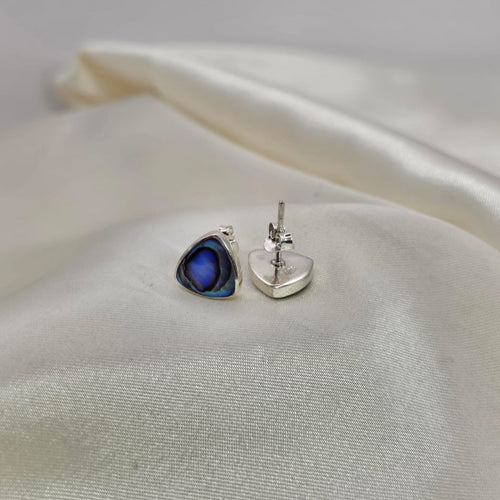 Abalone Shell Stud Earrings image 1