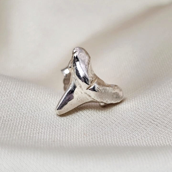 Shark Tooth Stud Earrings image 2