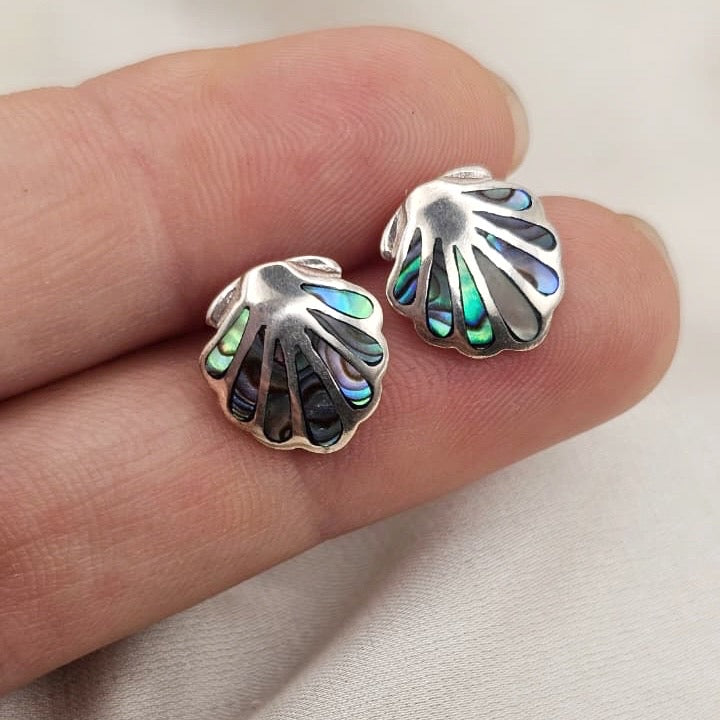Abalone Seashell Stud Earrings