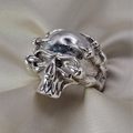 Skull & Claws Ring image 0