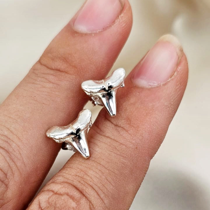 Shark Tooth Stud Earrings image 1