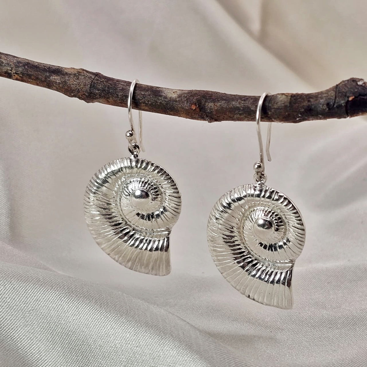 Nautilus Shell Earrings
